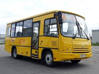 Автобус ПАЗ 320370-08 Вектор 7.1